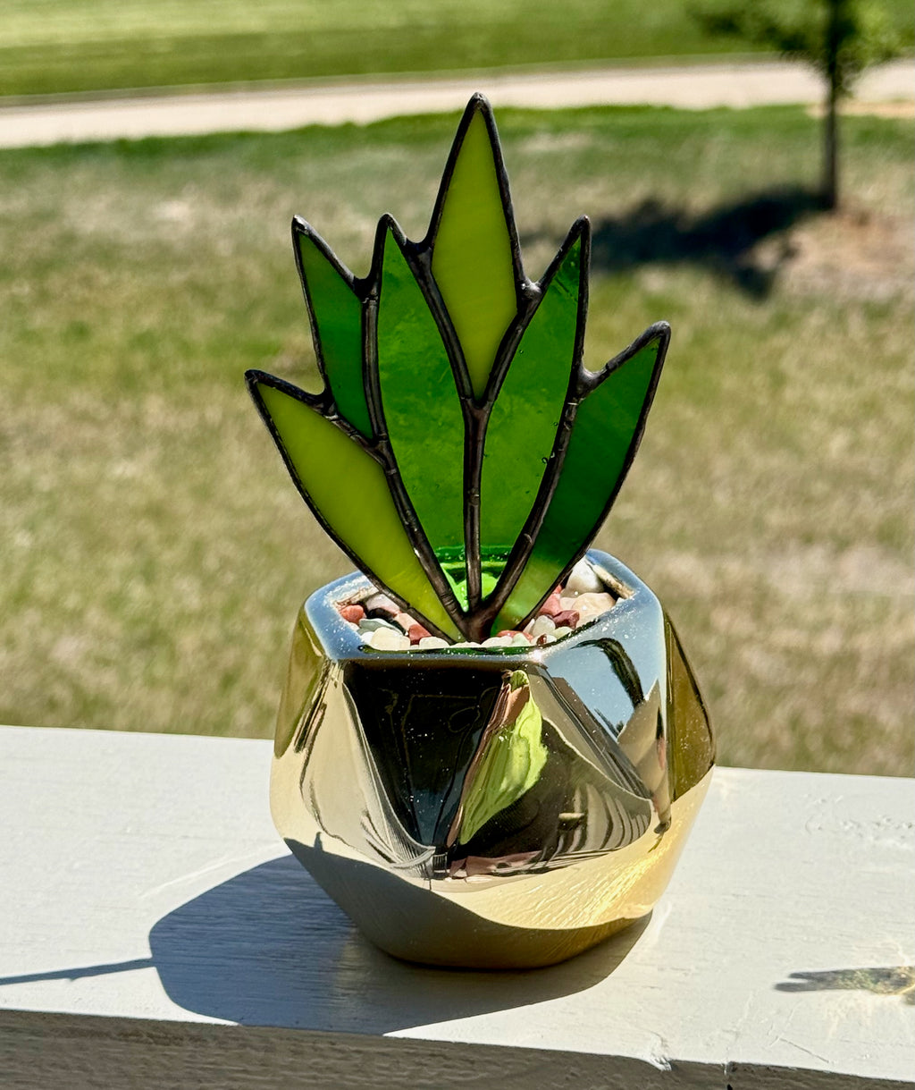 Stained Glass Snake Plant Gold