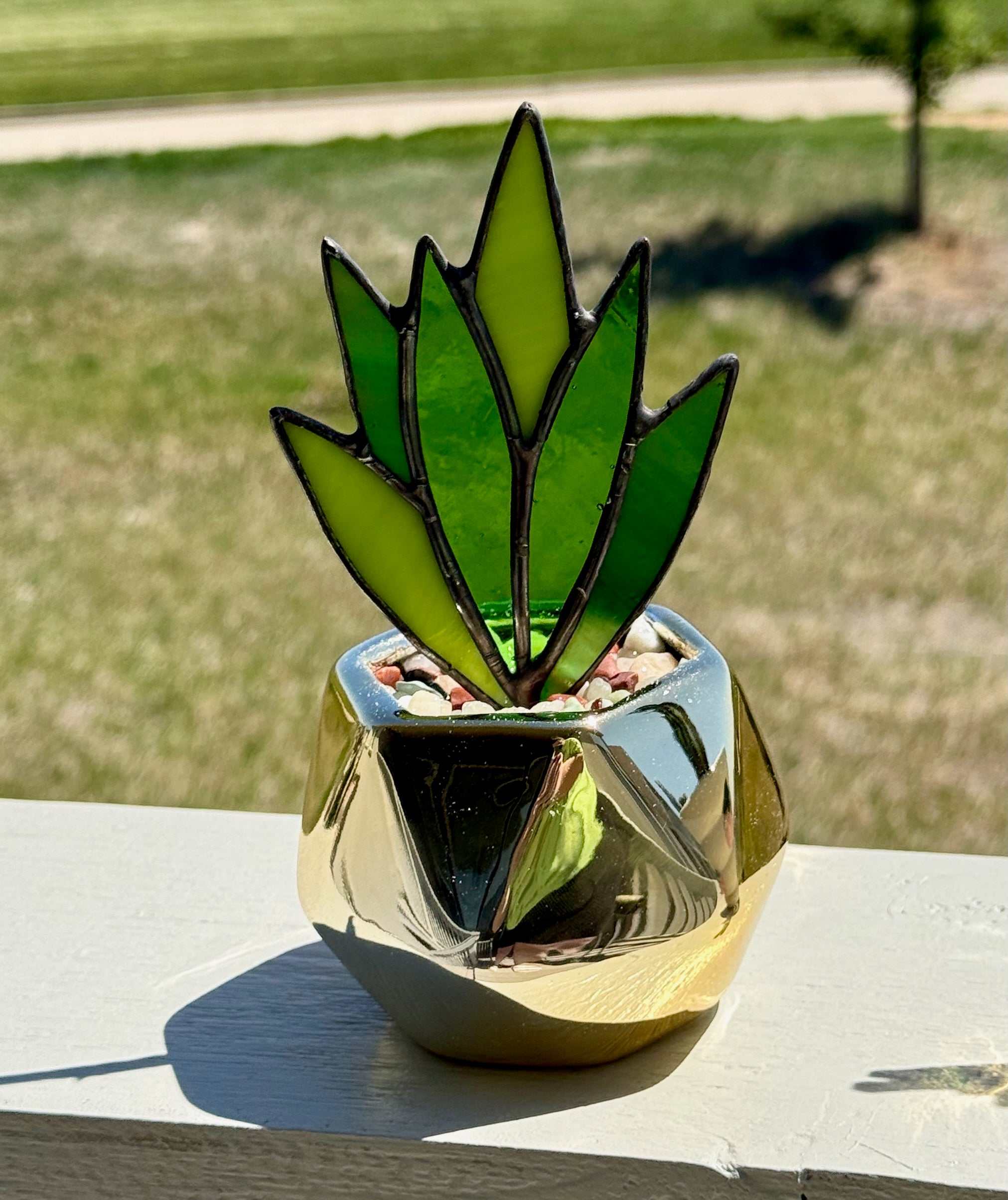 Stained Glass Snake Plant Gold