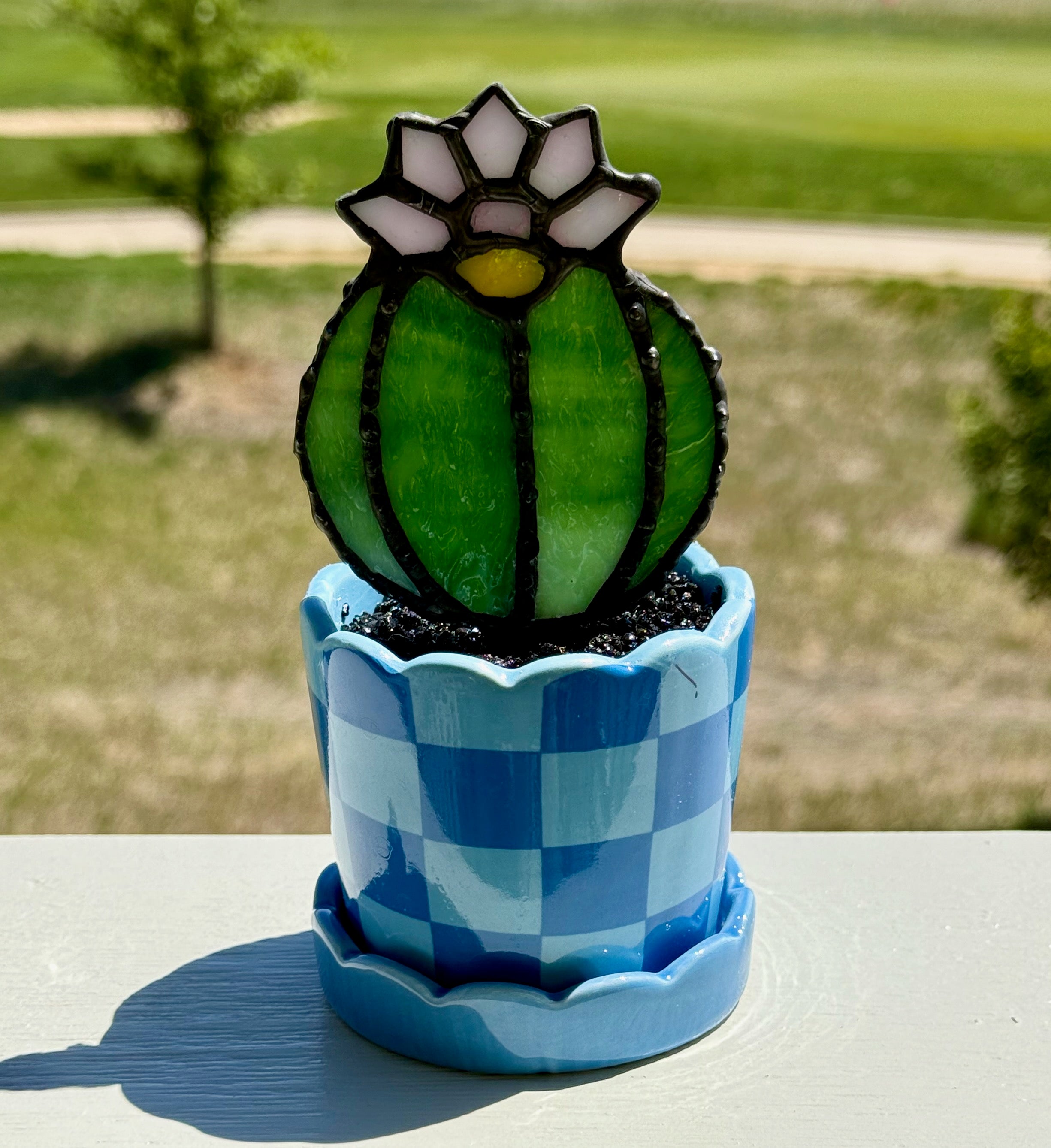 Stained Glass Flowering Cactus