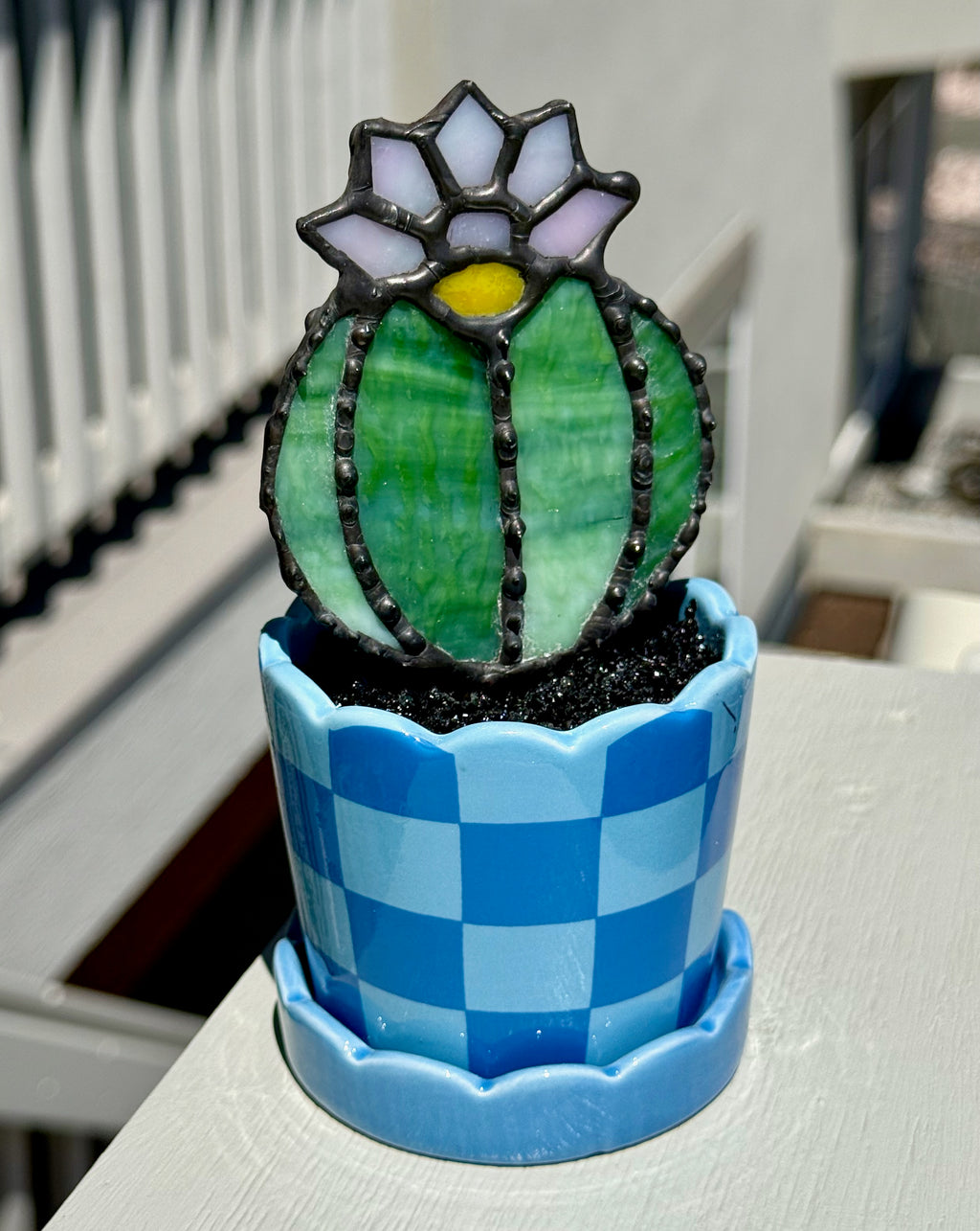 Stained Glass Flowering Cactus