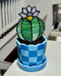 Stained Glass Flowering Cactus