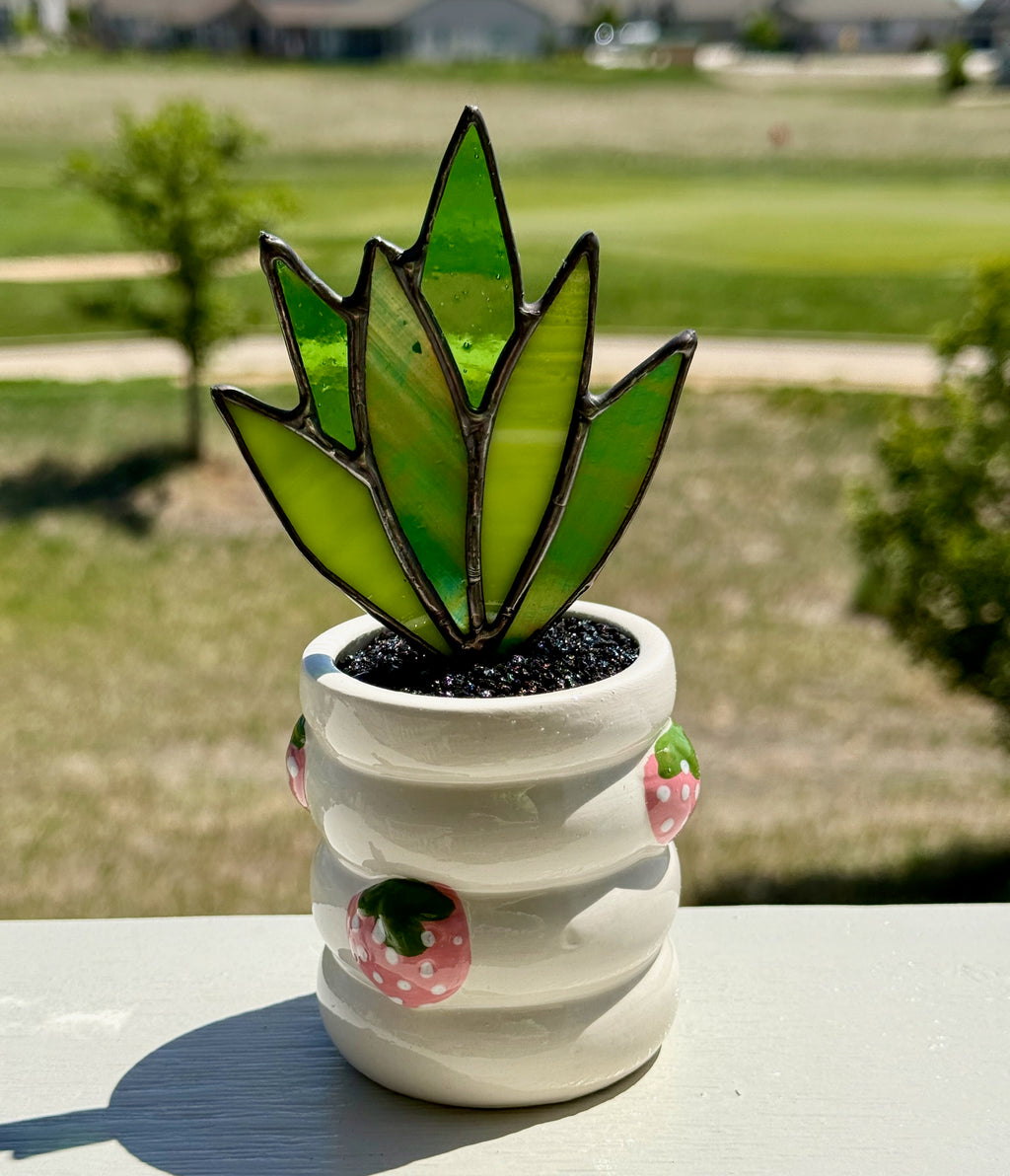 Stained Glass Snake Plant