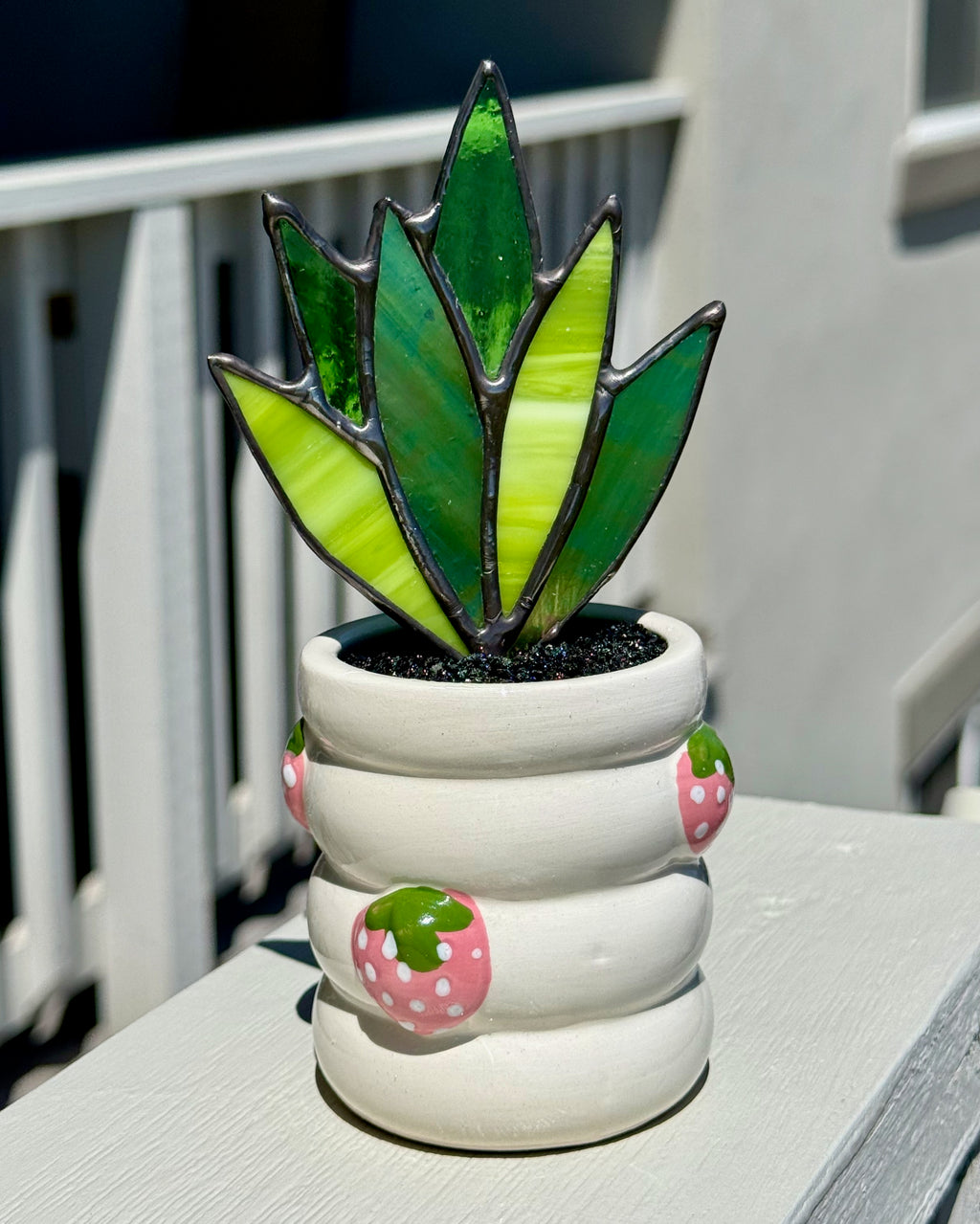 Stained Glass Snake Plant