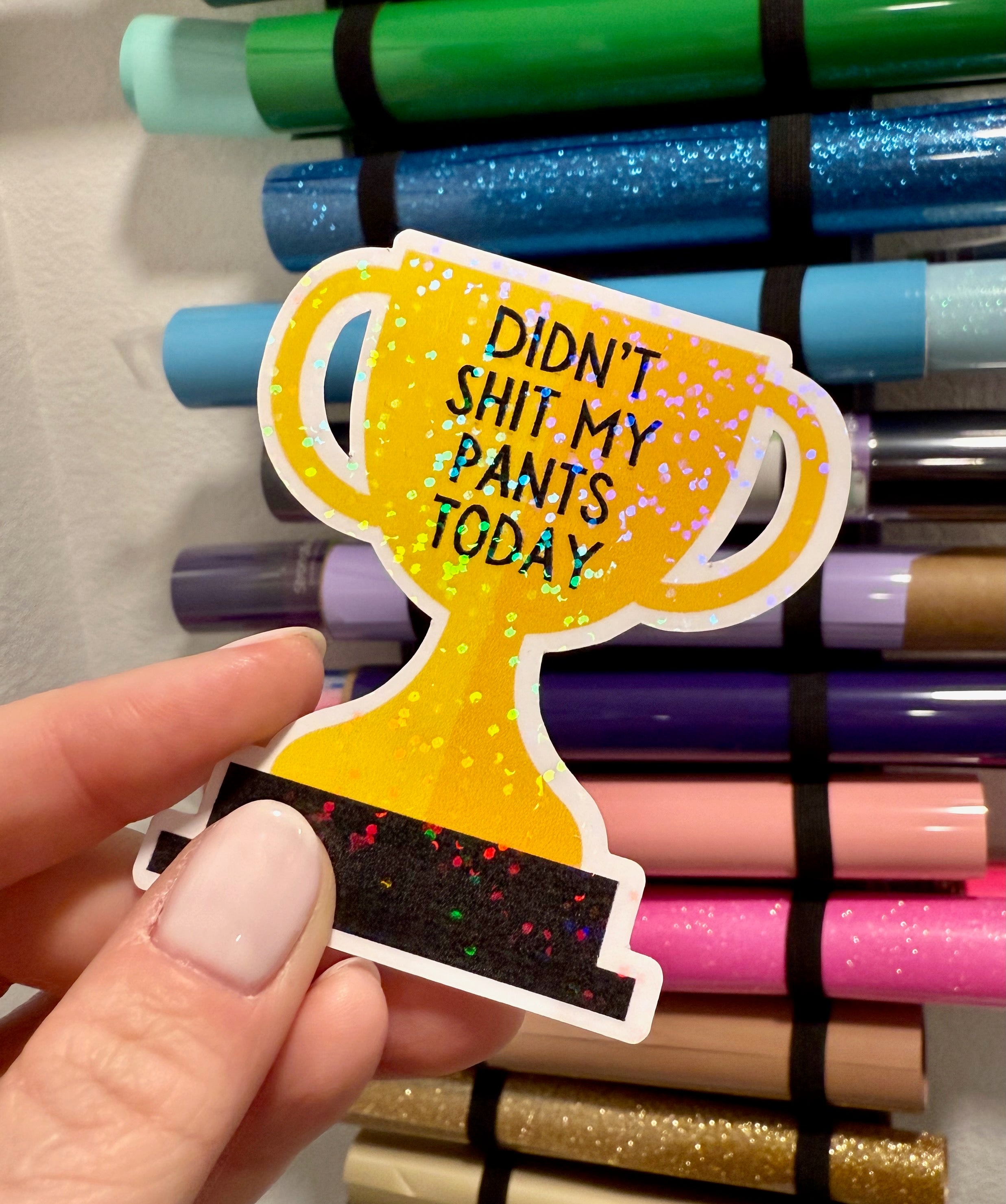 Didn't Shit My Pants Sticker