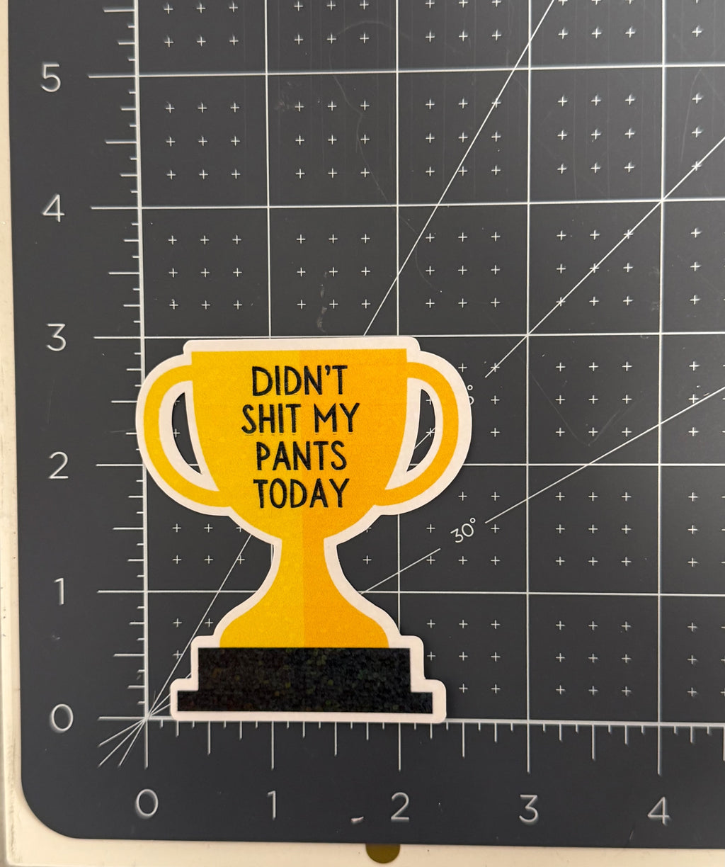 Didn't Shit My Pants Sticker