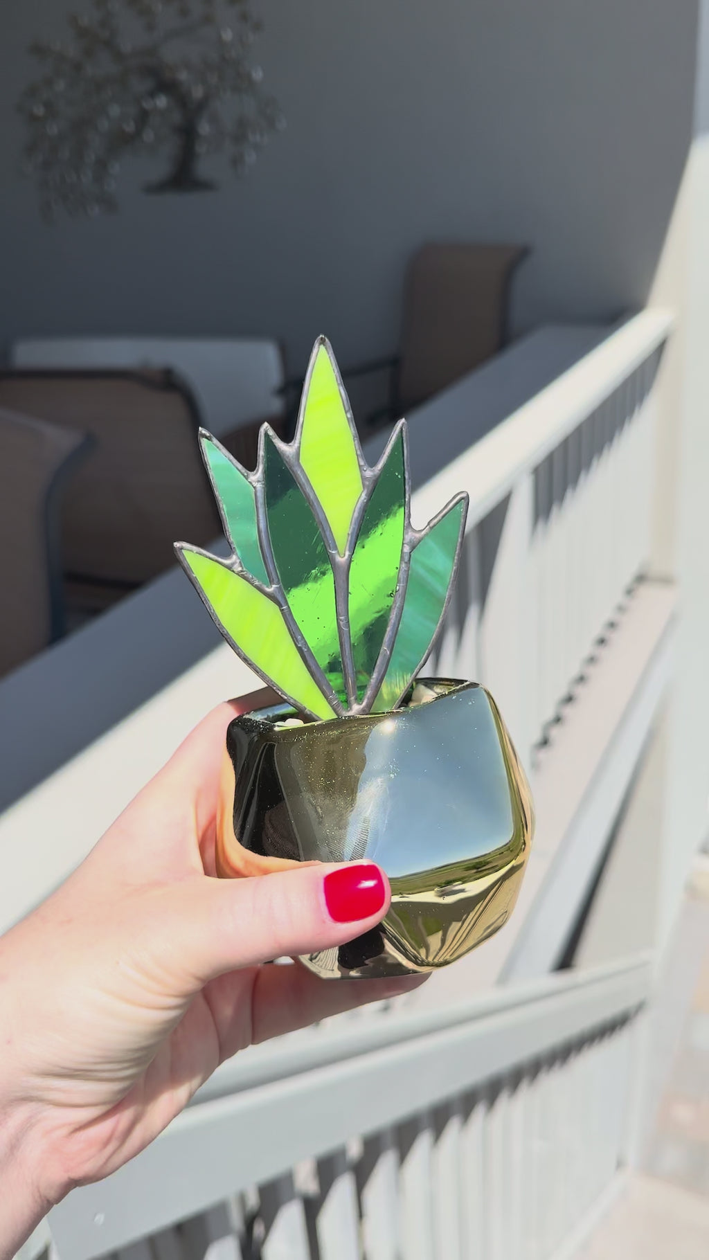 Stained Glass Snake Plant Gold