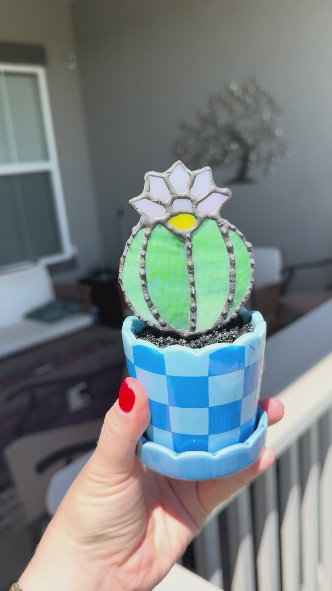 Stained Glass Flowering Cactus