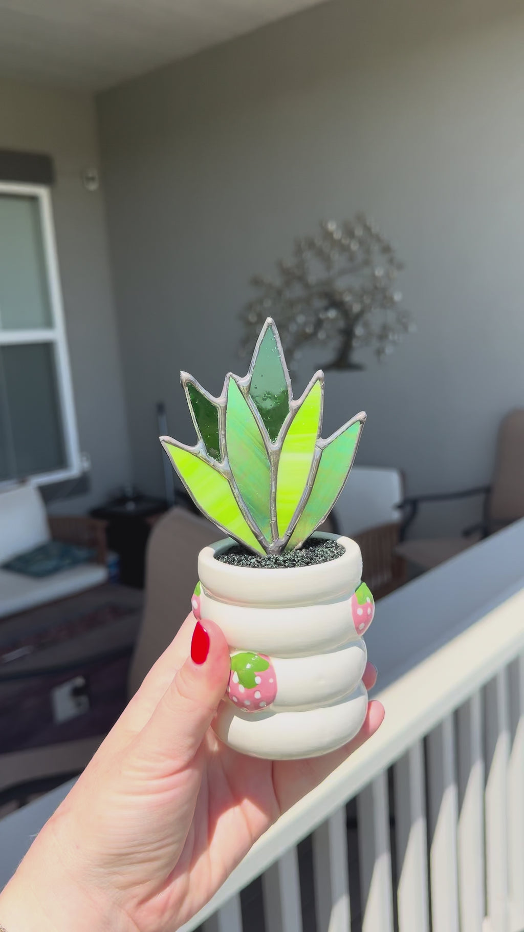 Stained Glass Snake Plant